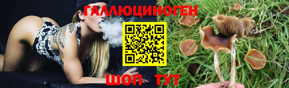 Железноводск  Псилоцибиновые грибы Magic Shrooms  Вход с VPN 